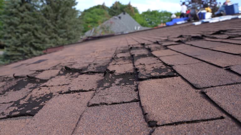 Best Storm Damage Roof Repair  in Anderson, CA